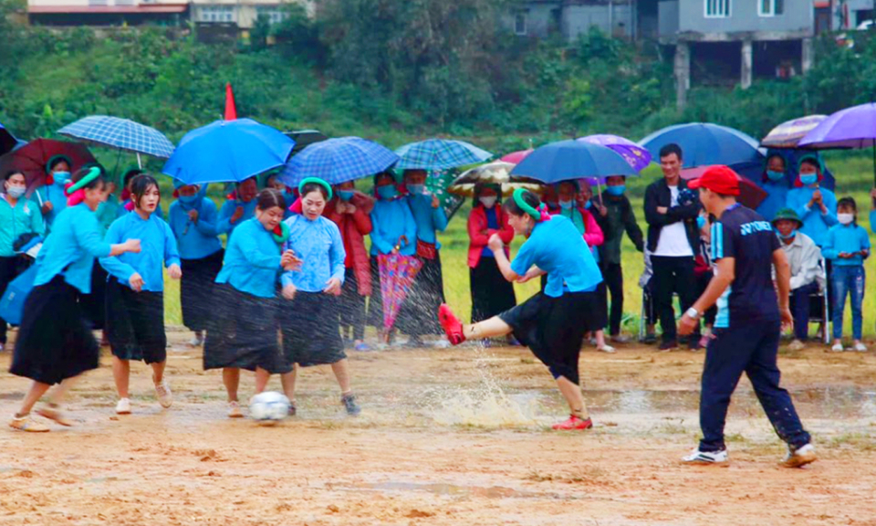 “Soong Co Yellow Season” festival to be launched in Tien Yen