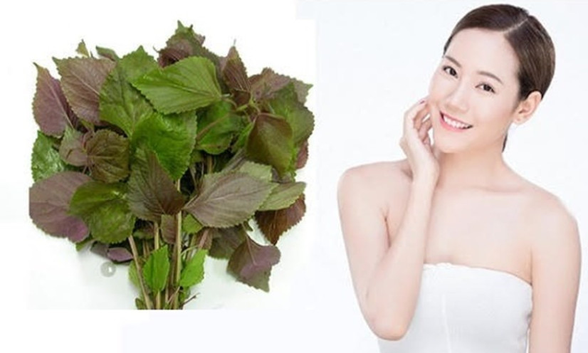 Bất ngờ trước công dụng làm đẹp của lá tía tô với làn da