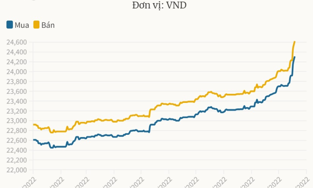 Giá USD tăng vọt