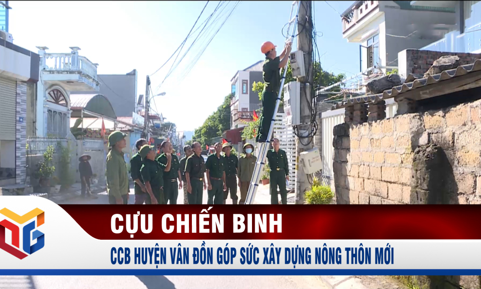 Cựu chiến binh huyện Vân Đồn góp sức xây dựng nông thôn mới