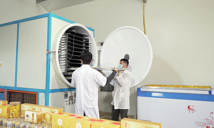 Khoa học công nghệ tạo động lực xây dựng nông thôn mới