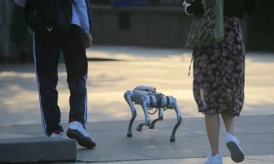 Người dân Trung Quốc lại có thú vui mới: nuôi chó robot làm cảnh