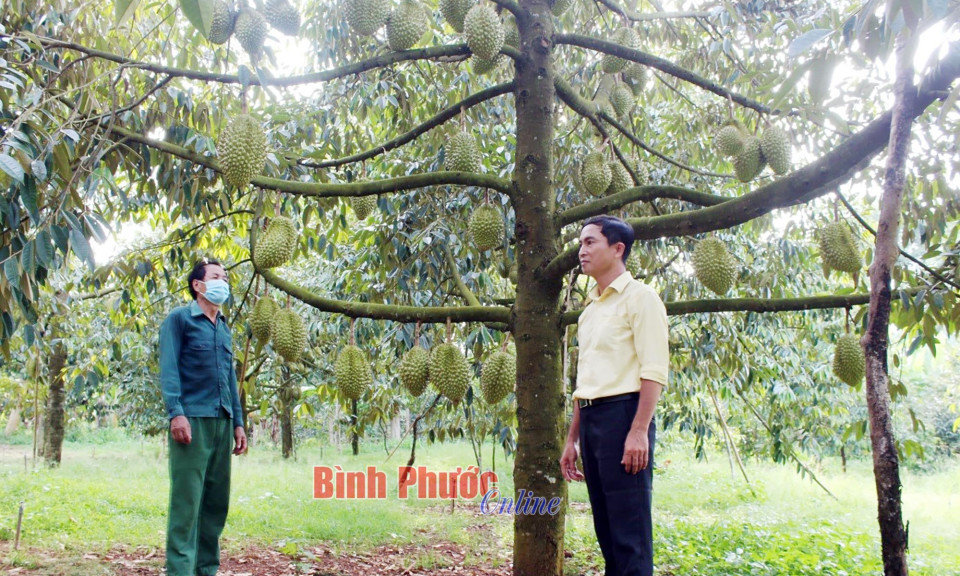 Khẳng định thương hiệu sản phẩm OCOP