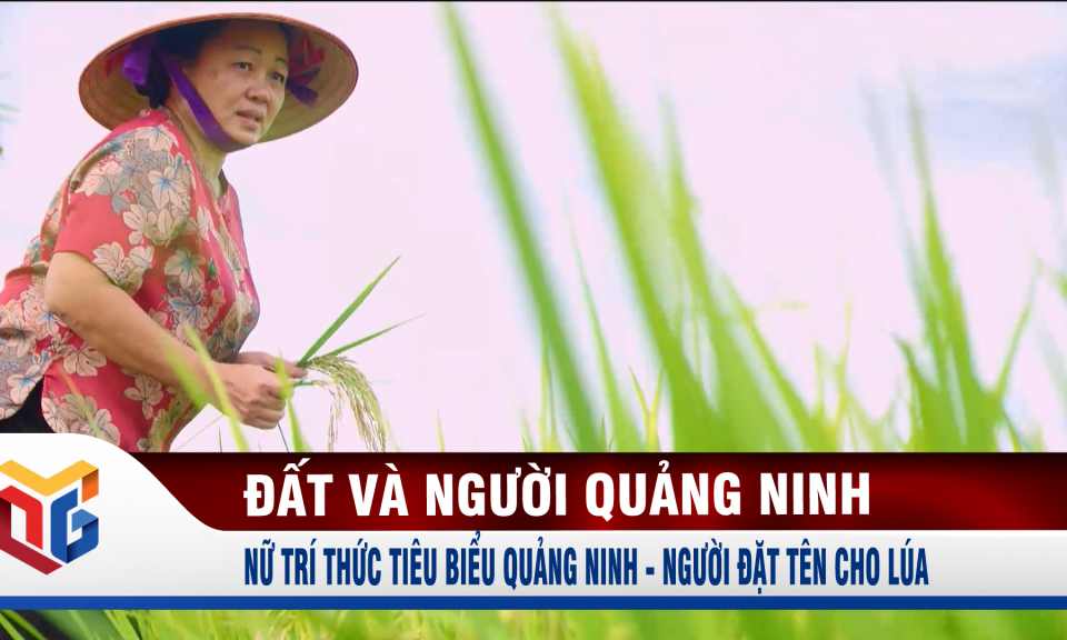 Nữ trí thức tiêu biểu Quảng Ninh - Người đặt tên cho lúa