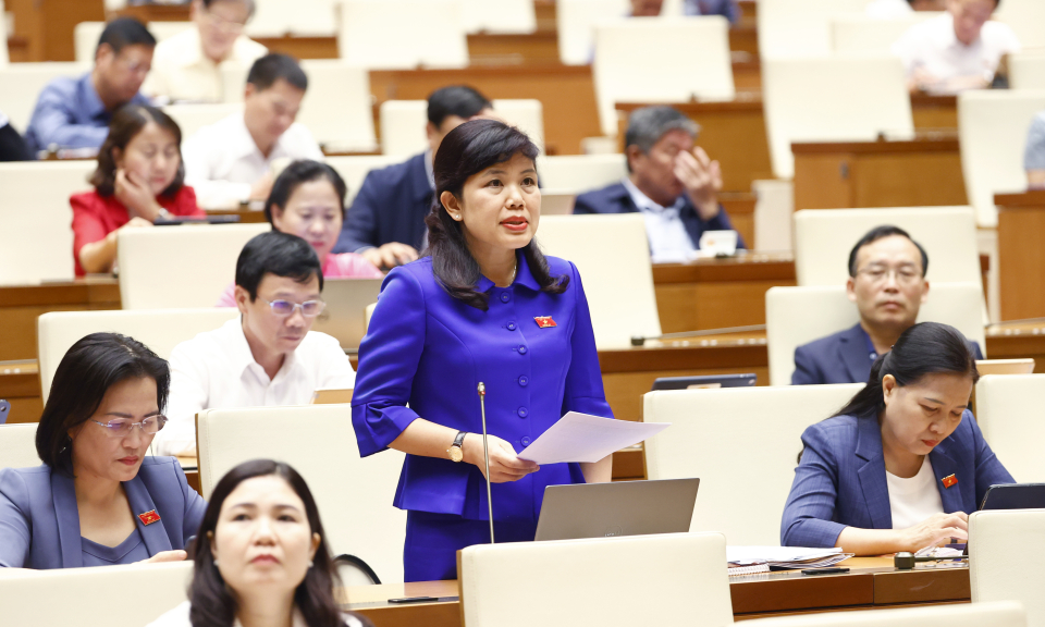 Quốc hội thảo luận tổ và hội trường về nhiều  vấn đề quan trọng