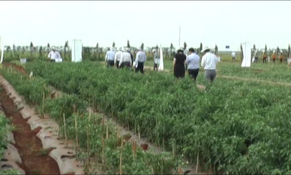 Bắt nguyên Phó Giám đốc Sở Khoa học và Công nghệ Đồng Nai