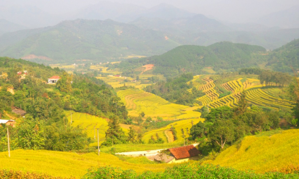 “Yellow season” marathon to be held in Binh Lieu for the first time 