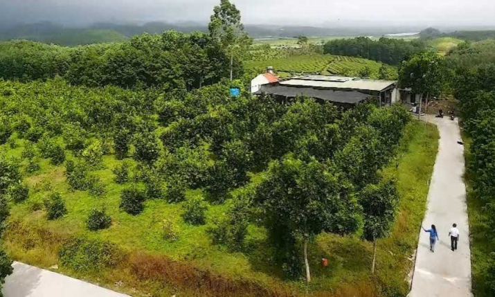Hải Hà: Xây dựng huyện nông thôn mới nâng cao