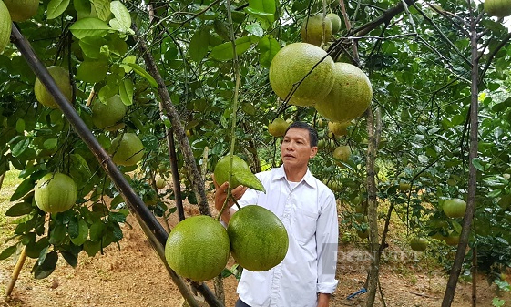 Bản tin vùng Đông Bắc ngày 27/10/2022
