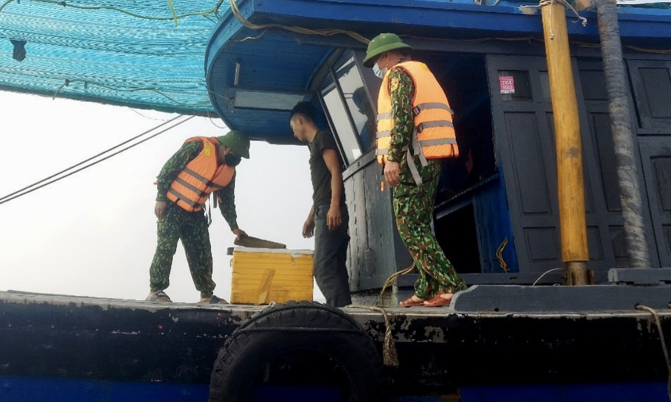 Đồn BP Trà Cổ: Phát hiện, xử lý 2 tàu cá vi phạm quy định trong khai thác hải sản