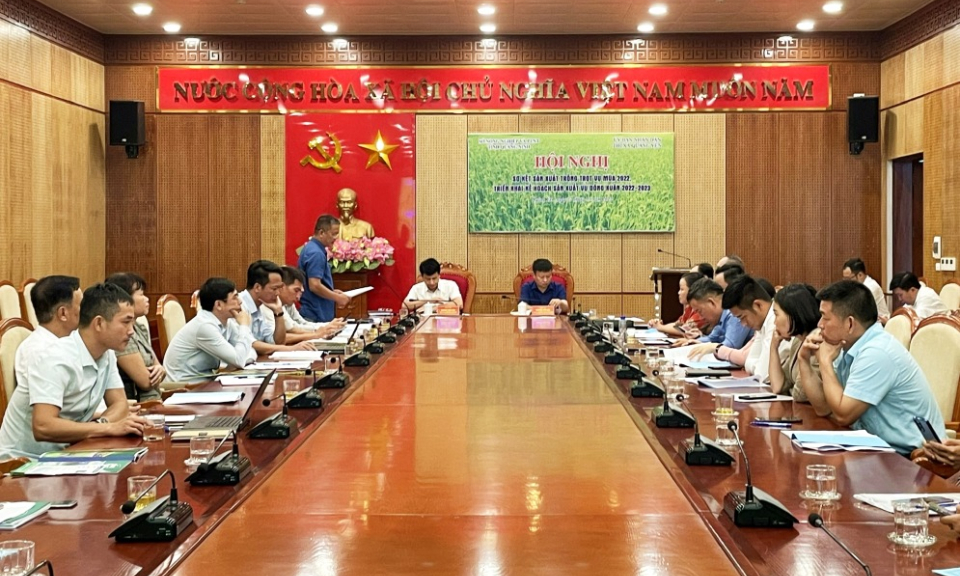 Triển khai kế hoạch sản xuất vụ Đông Xuân 2022-2023