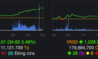Hơn 80 mã tăng trần, VN-Index trở lại mốc 1.000 điểm