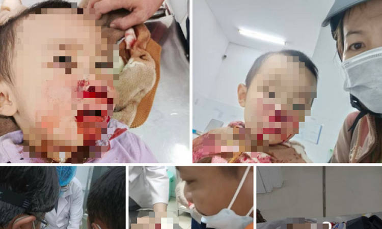 Xác minh, làm rõ thông tin "cảnh sát giao thông đánh dân"