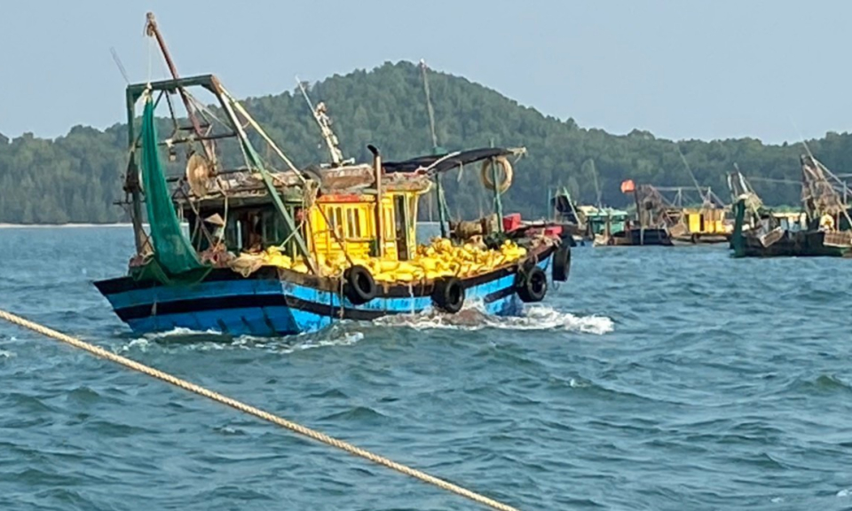 Móng Cái: Báo động tình trạng tàu giã cào "cày xới" vùng biển Bình Ngọc-Vĩnh Thực