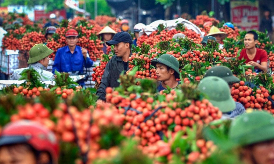 10 tháng năm 2022, xuất khẩu nông lâm thủy sản đạt gần 45 tỷ USD