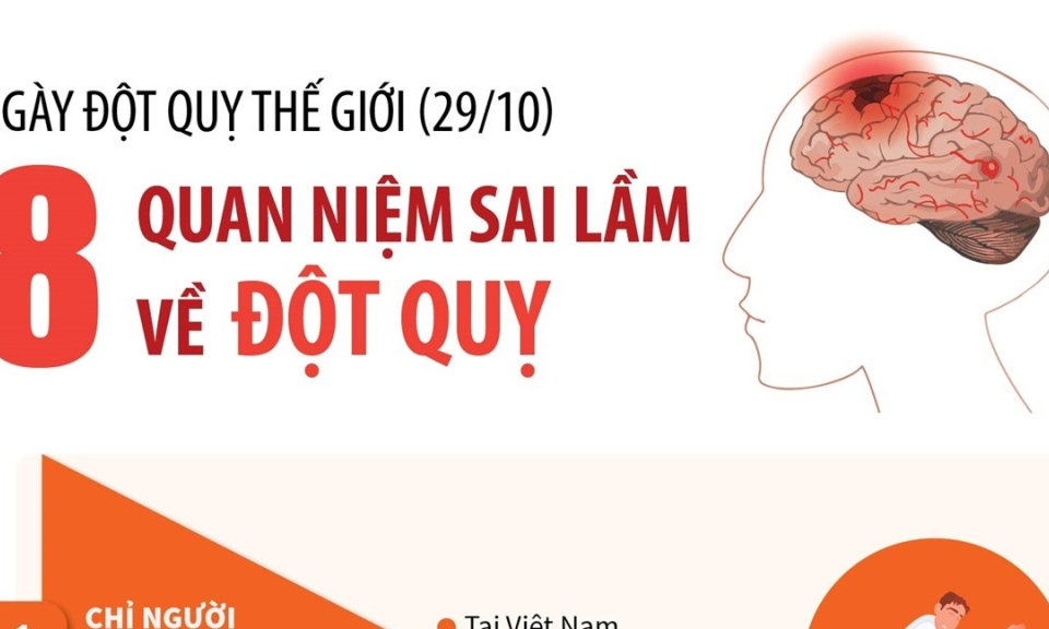 Ngày Đột quỵ thế giới 29/10: 8 quan niệm sai lầm về đột quỵ