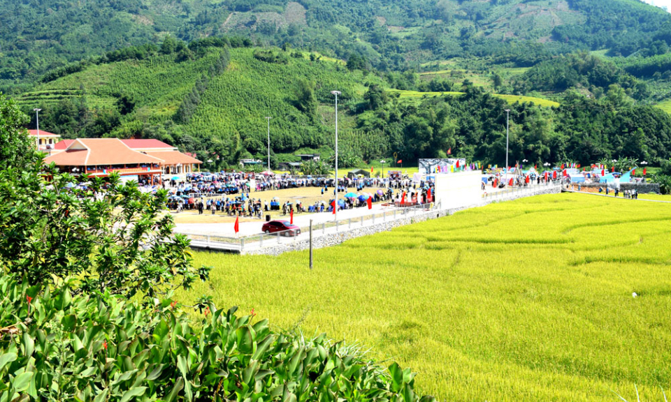 Yellow season at Dai Duc commune