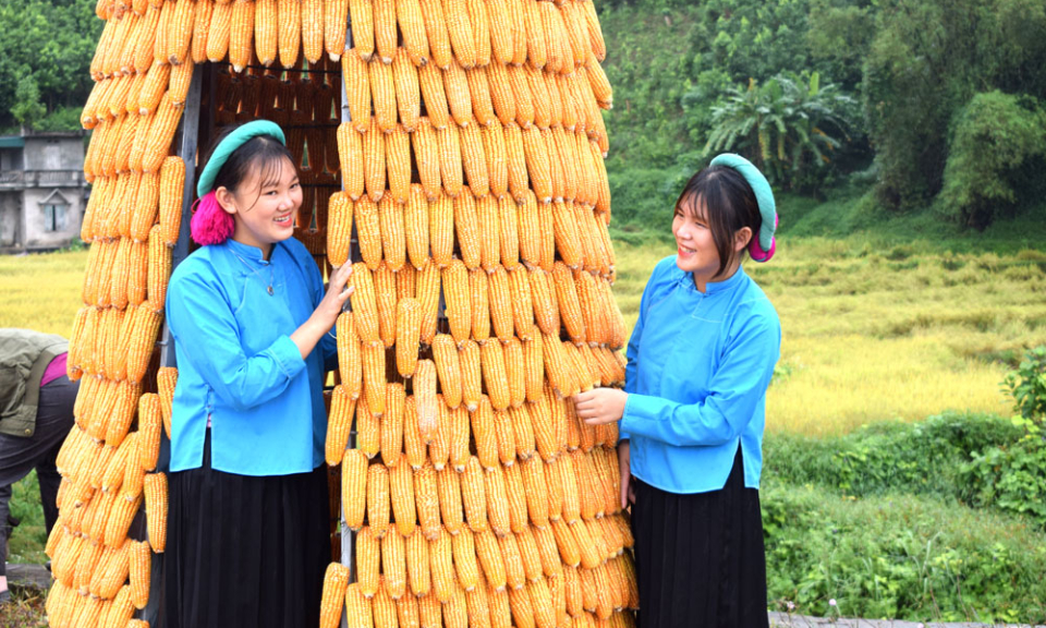 Check-in ở Đại Dực
