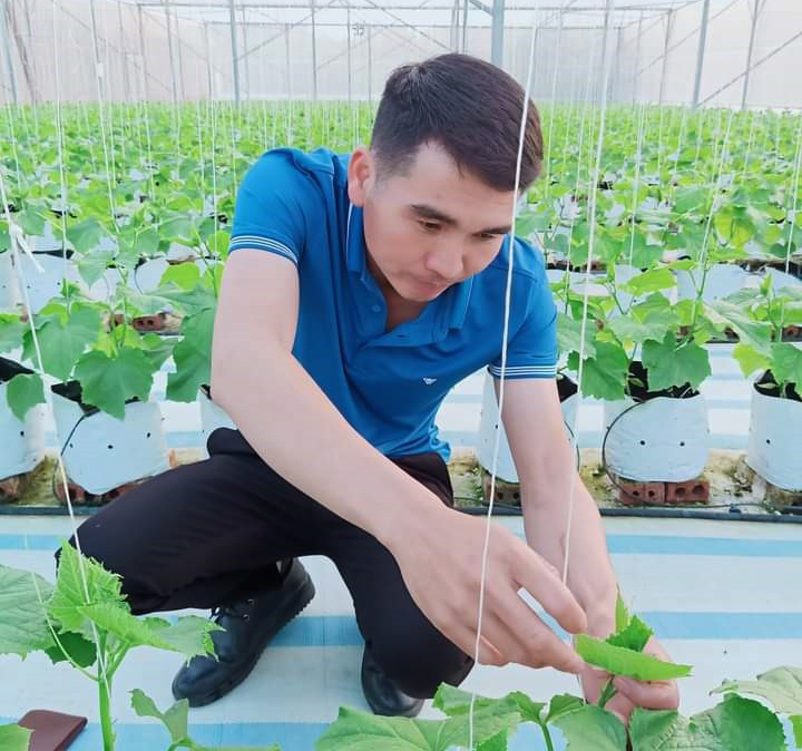 Anh Trương Thế Đô, Giám đốc HTX sản xuất nông nghiệp hữu cơ Thành Đạt chăm sóc cây 