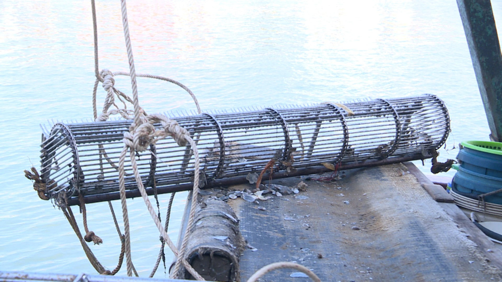 Ngư cụ cấm dùng trong khai thuỷ sản bị Hải đội 2, BĐBP bắt giữ. 