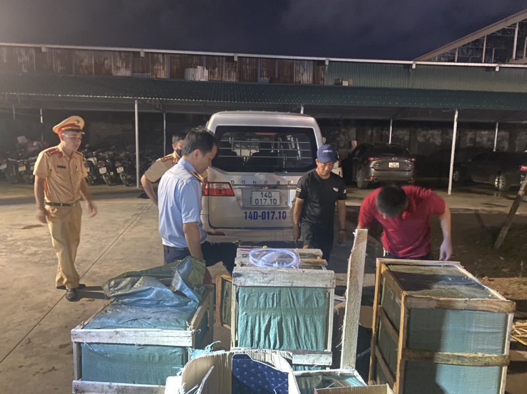 Lực lượng chức năng trên địa bàn TP Móng Cái bắt giữ phương tiện vận chuyển rượu lậu. Lực lượng chức năng TP Móng Cái bắt giữ một vụ vận chuyển rượu lậu.