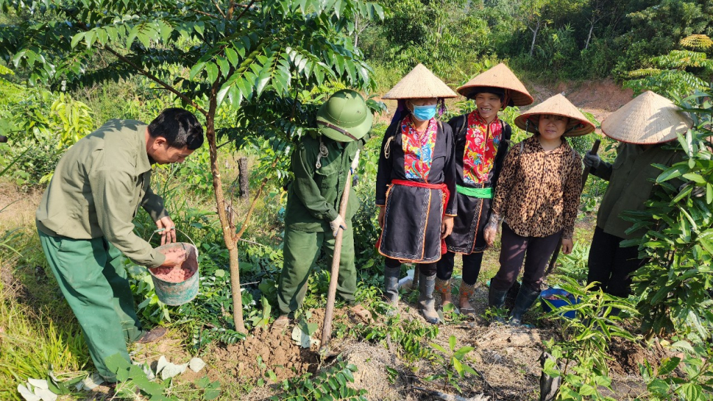 Anh Nịnh Văn Năm hướng dẫn người dân chăm sóc cây Lim xanh.