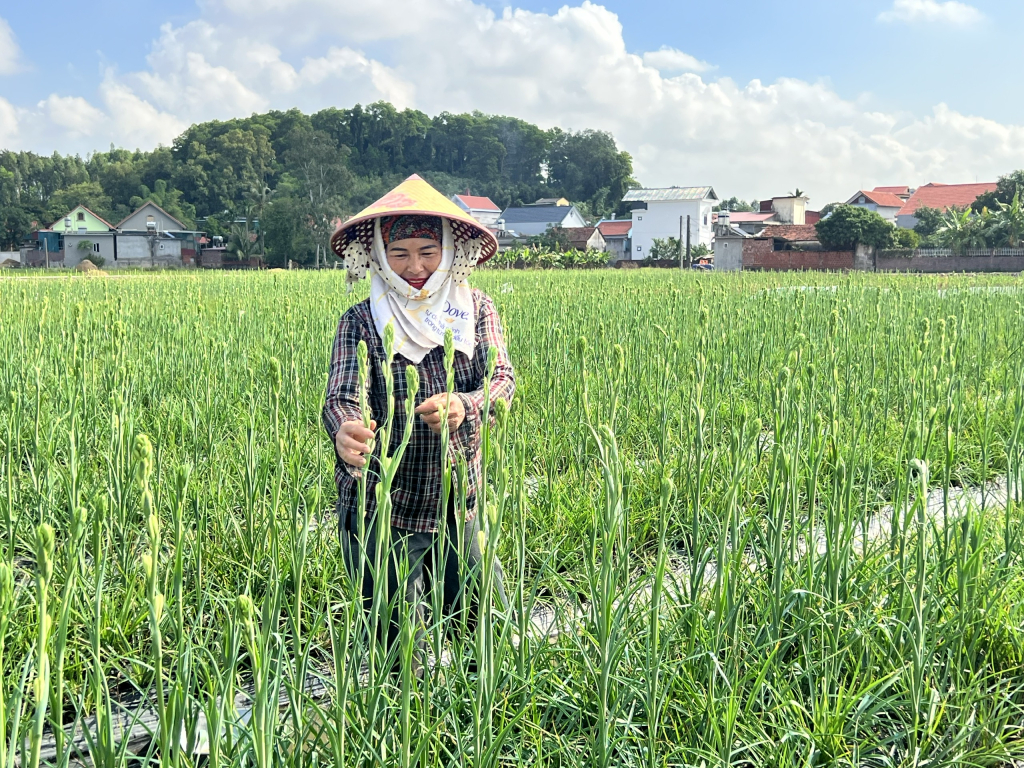 Người dân Bình Lục Hạ thi đua sản xuất.