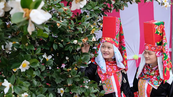 During the festival, domestic and international tourists will have a great chance to enjoy the beauty of Binh Lieu mountainous district covered in white So flowers. 