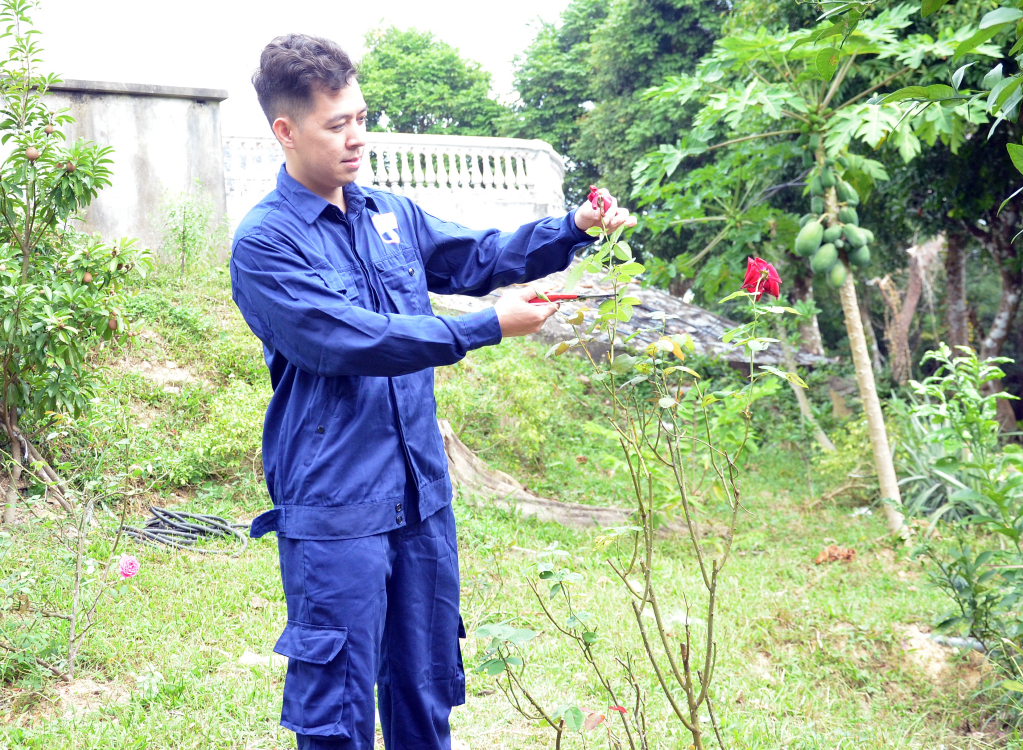 Sau giờ làm việc, anh Phạm Tiến Dũng nhân viên Trạm Hải đăng Cô Tô tập trung cắt tỉa chăm sóc hoa cây cảnh.