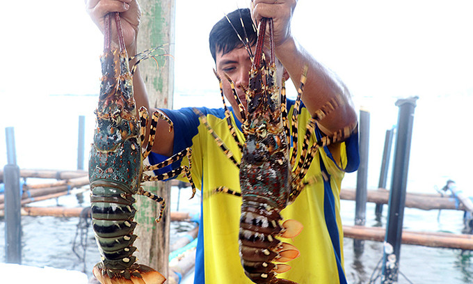 Vietnam's seafood exports nearing $11 bln in 2022