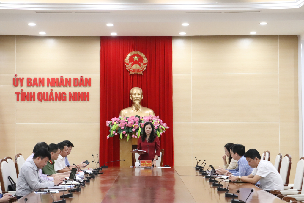 Đồng chí Nguyễn Thị Hạnh, Phó Chủ tịch UBND tỉnh chỉ đạo tại cuộc họp.