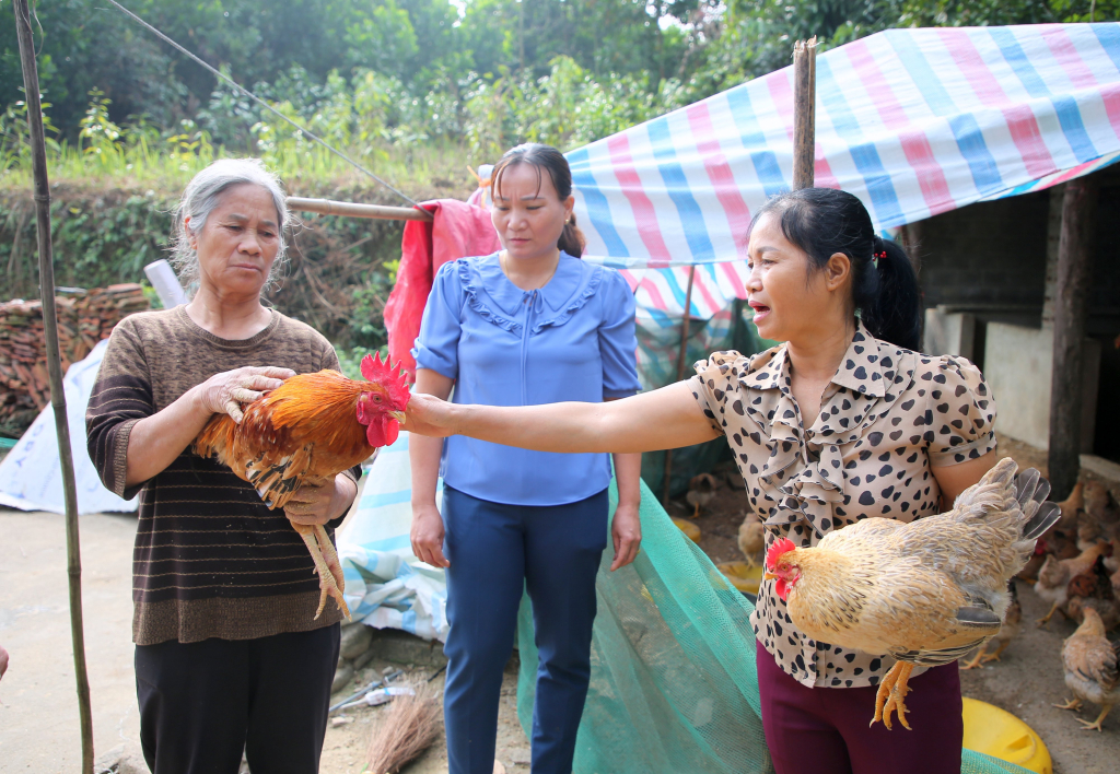 Ảnh trong văn bản