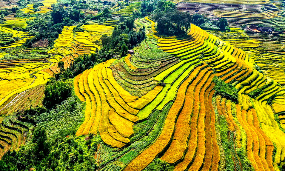 Binh Lieu Culture - Tourism Week and  Yellow Season festival opens in Binh Lieu
