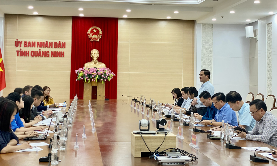 UBND tỉnh làm việc với VCCI về các giải pháp phát triển kinh tế gắn với bảo vệ môi trường