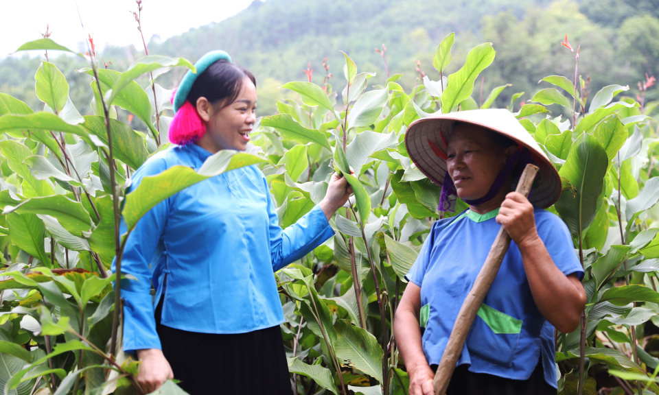 Thêm động lực phát triển cho vùng khó 