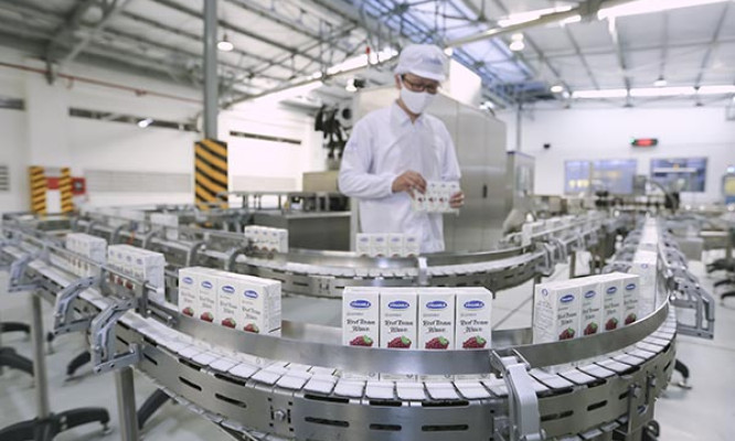 Vietnamese firms ready to take next steps on ESG journey: PwC