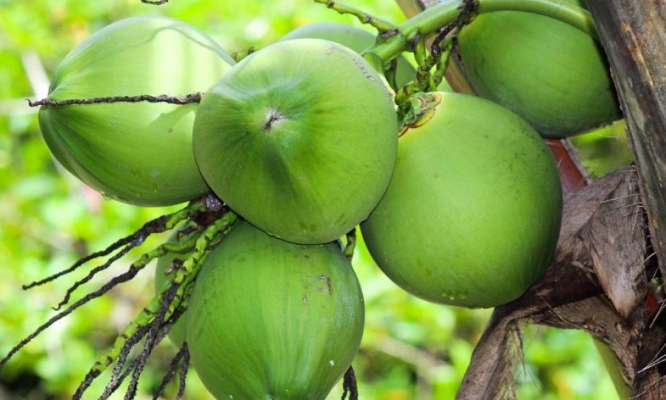 Những loại nước uống buổi tối gây mất ngủ, làm lão hoá nhanh