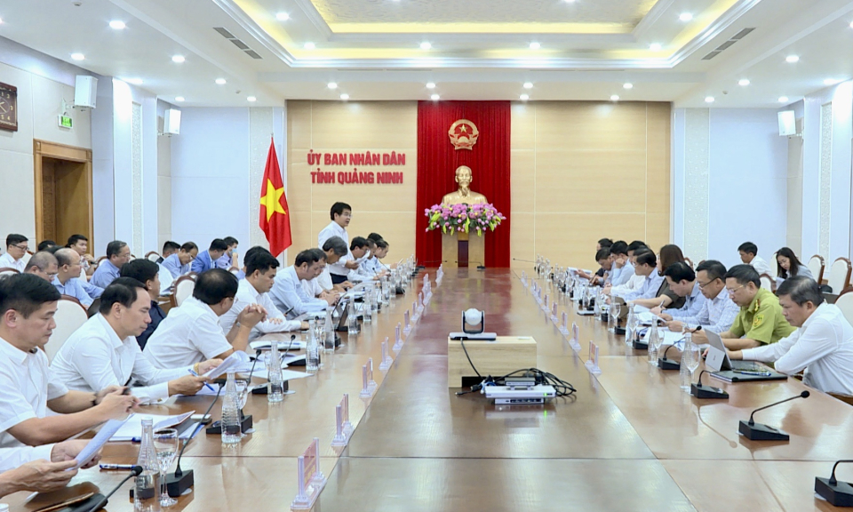 UBND tỉnh làm việc với Tập đoàn Điện lực Việt Nam
