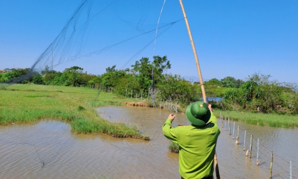 Ngăn chặn tình trạng săn bắt chim hoang dã