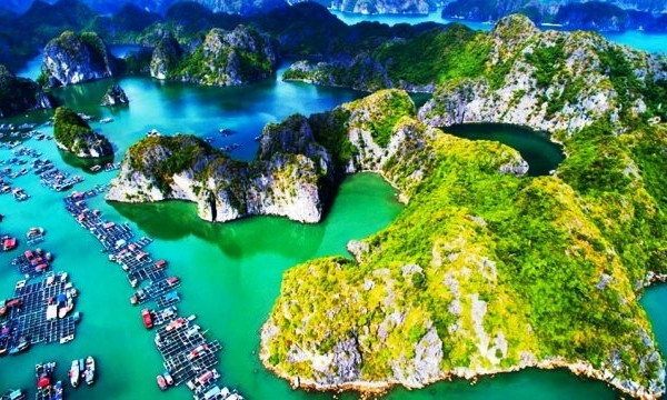 UNDP: Efficient management and conservation of biodiversity reserves for the community and environment