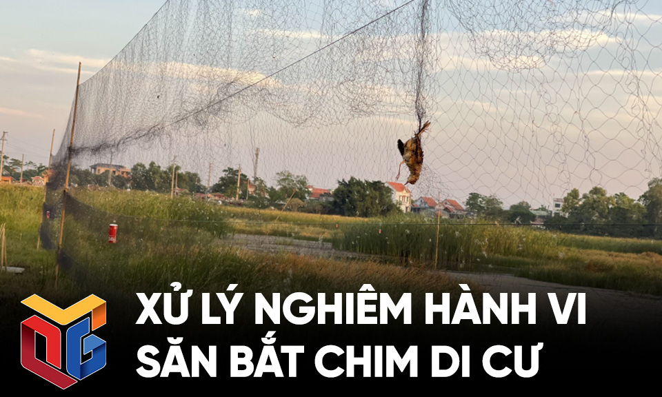 Xử lý nghiêm hành vi săn bắt chim di cư