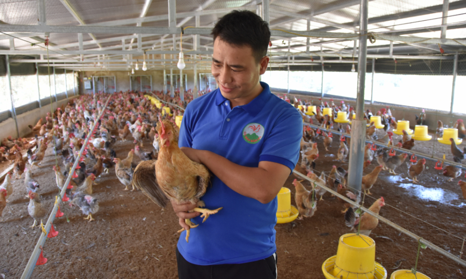 Nhân rộng các cơ sở chăn nuôi an toàn dịch bệnh