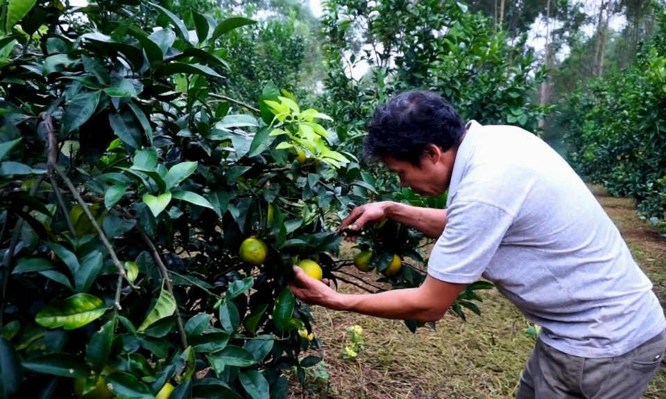 Quảng Thịnh huy động sức dân tham gia xây dựng NTM