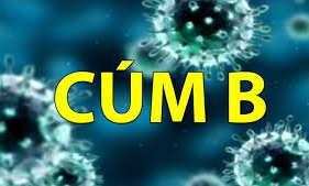 Đừng nhầm lẫn cúm B và sốt xuất huyết