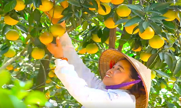 Bản tin vùng Đông Bắc ngày 08/11/2022