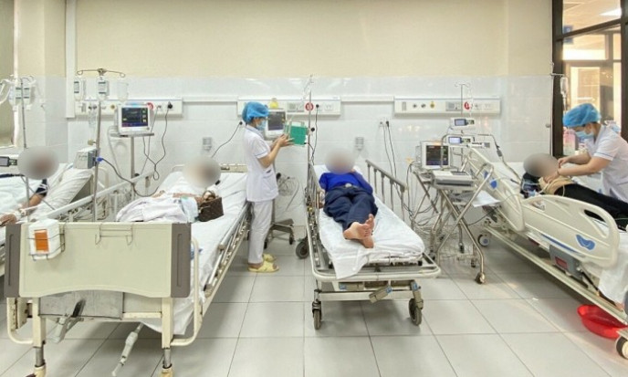 4 người bị ong đốt nguy kịch
