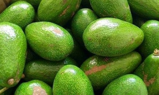 Tăng cường sức khoẻ và chống lão hoá bằng các thực phẩm giàu vitamin E