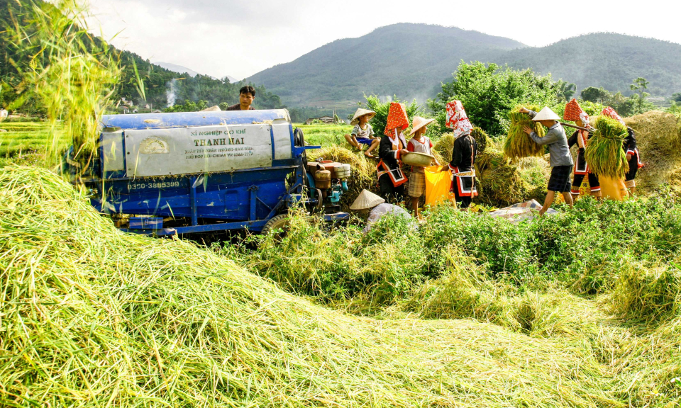 Tái cơ cấu ngành nông nghiệp theo hướng phát triển bền vững