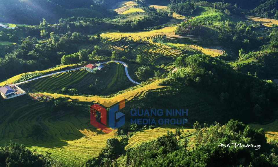 Mùa vàng Bình Liêu