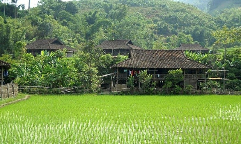Bản tin vùng Đông Bắc ngày 11/11/2022